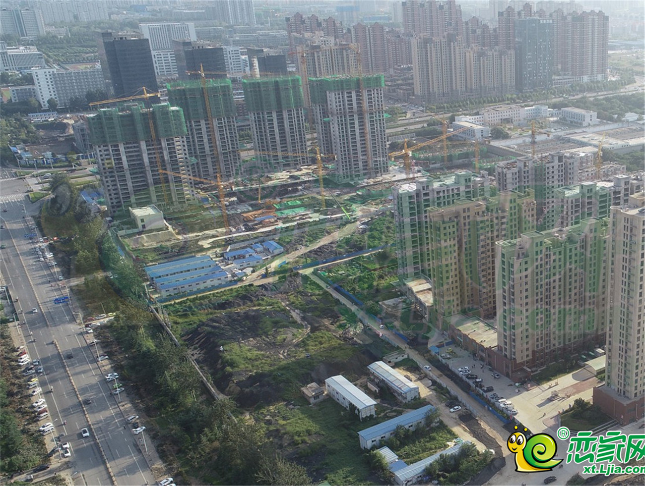 实景图
