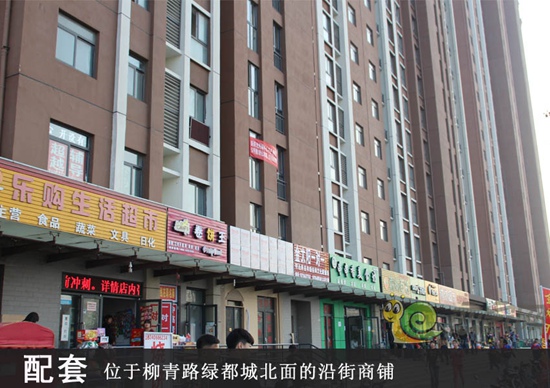 说说购房的事 买房子我为什么选择新乡绿都城?