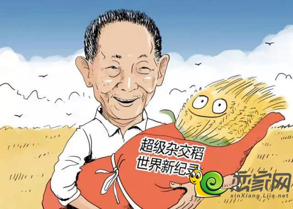 "杂交水稻之父"袁隆平又在迪拜沙漠种出了水稻