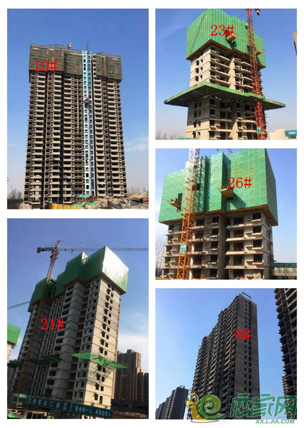 守拙园·项目实拍图