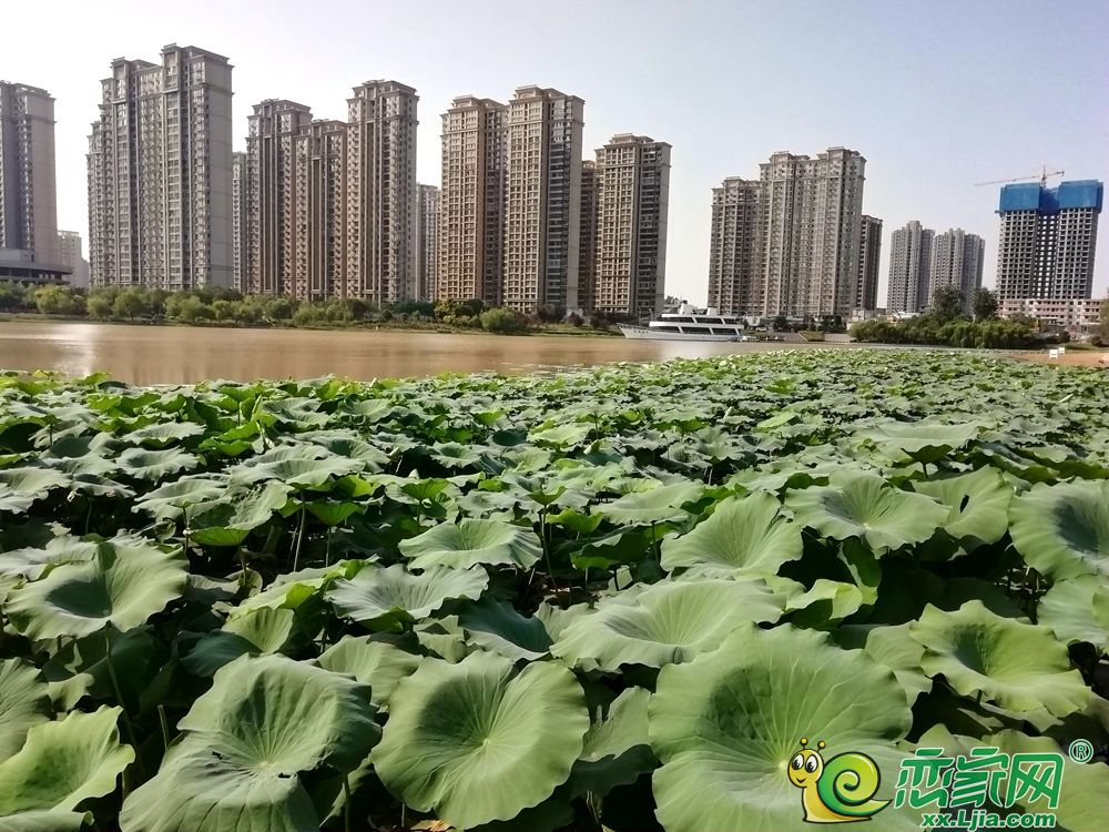配套图