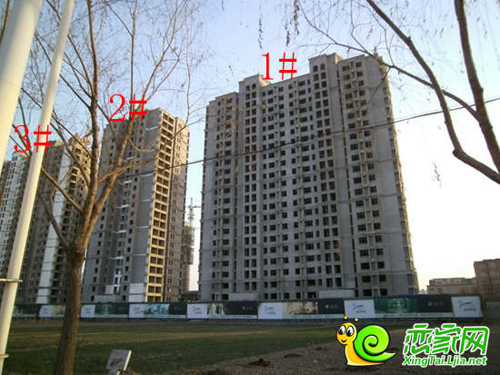 邢台县保障房项目绿洲新城已经封顶 工程进度