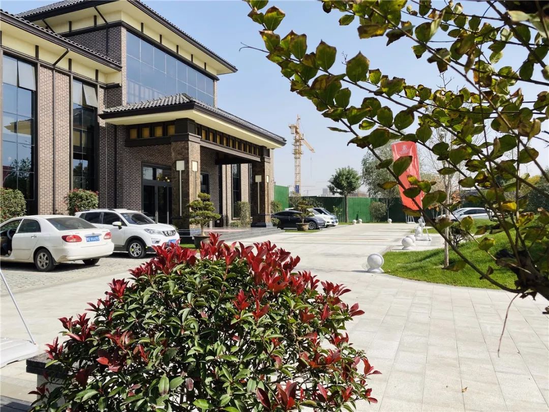 国风雅韵汉唐盛景 期盼已久的春天溜进了天宝华庭